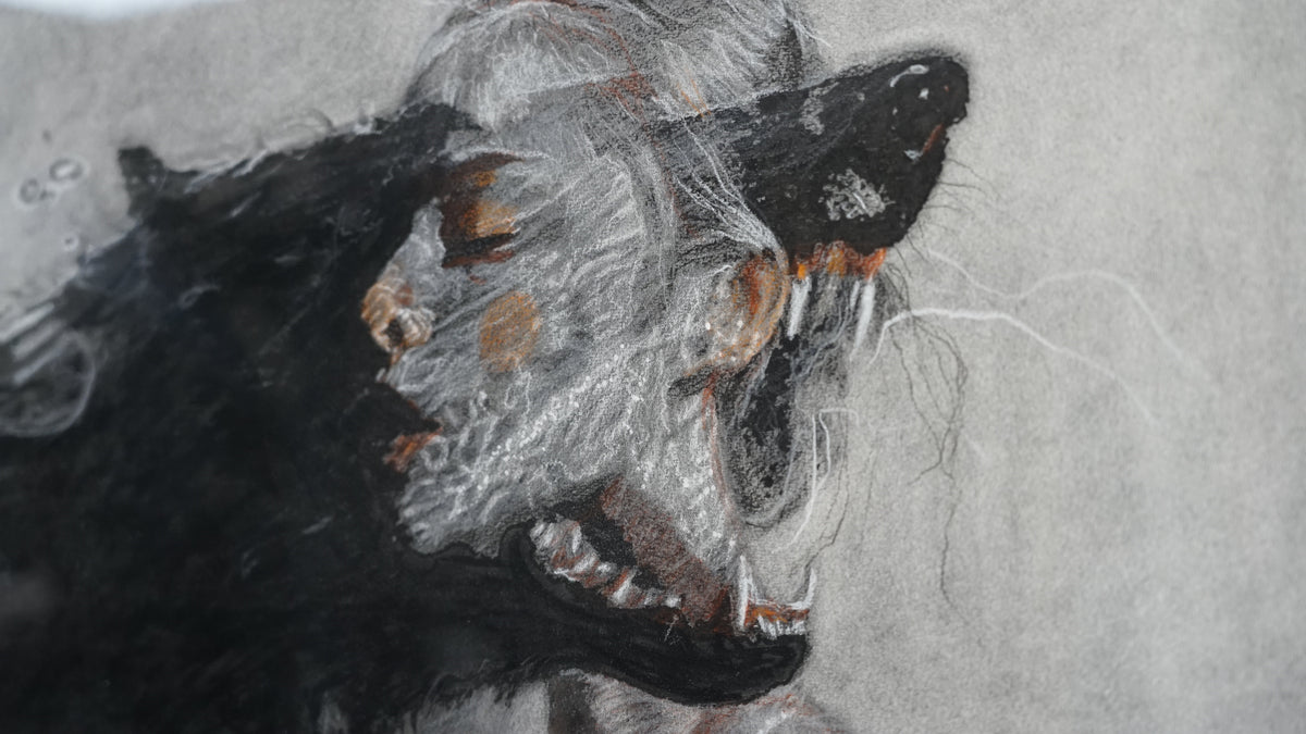Carlos Larracilla - La bestia que somos / Acrilico, carboncillo, lapiz sobre papel - 76 x 56 cm