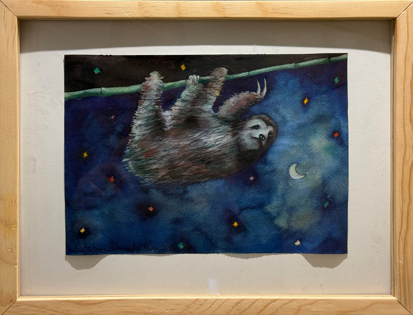 Esteban Arévalo - Oso perezozo / Acuarela sobre papel - 17 x 24 cm