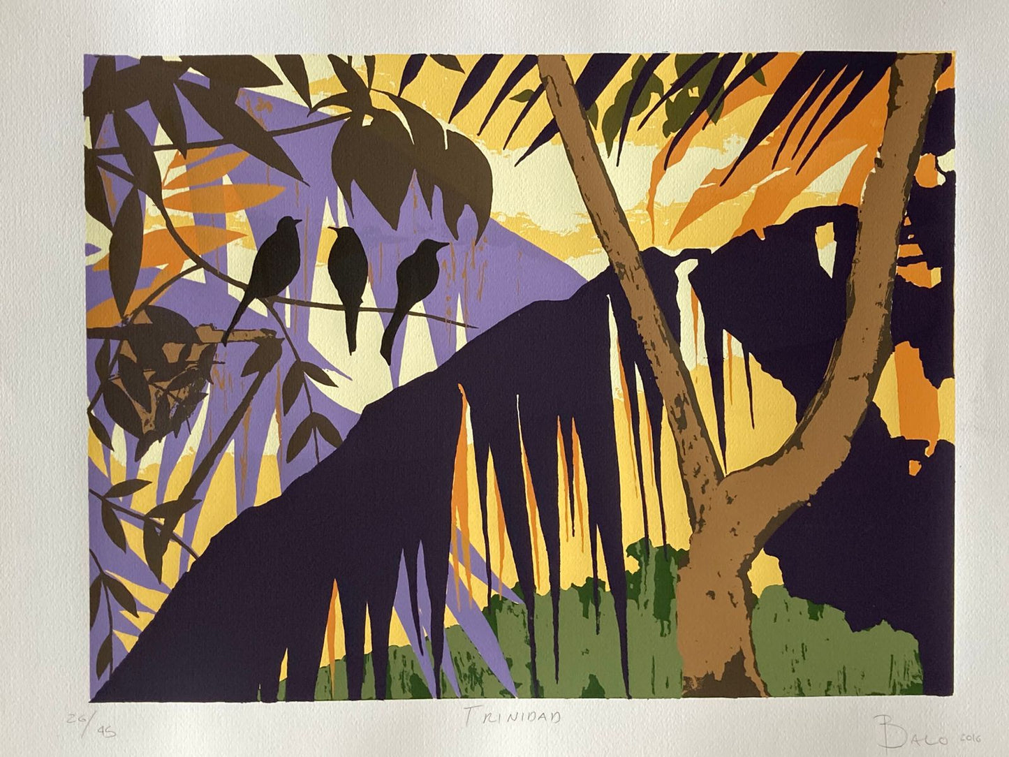 Balo Pulido - Trinidad / Serigrafía sobre papel - 70 x 50 cm