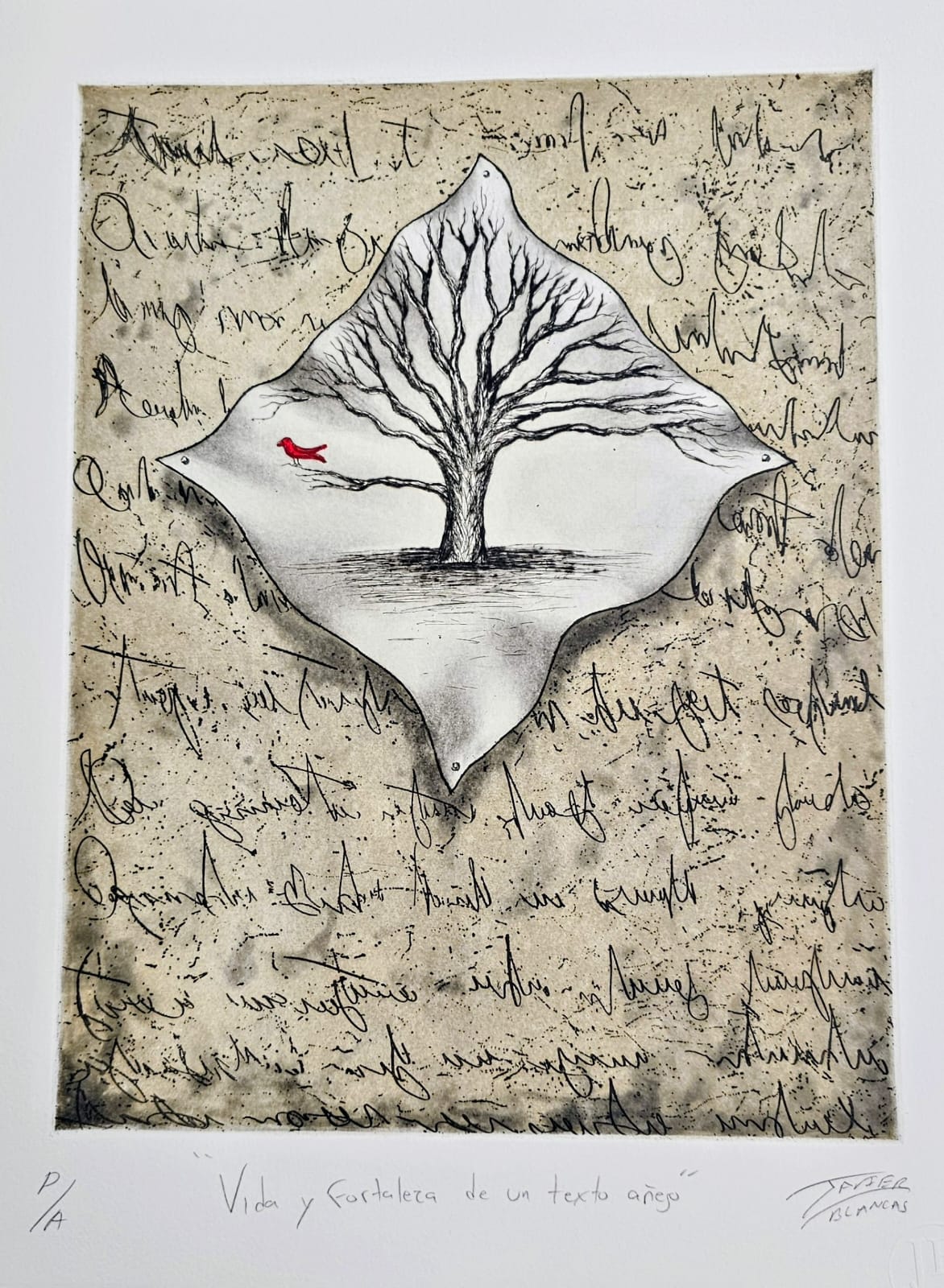 Javier Blancas  – Vida y fortaleza de un texto añejo / grabado  sobre papel – 35 x 45 cm – P/A