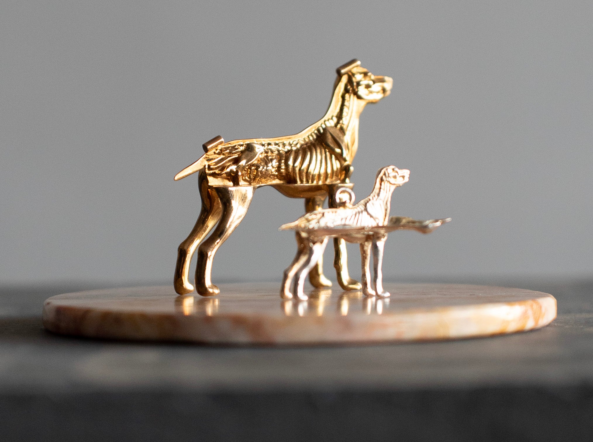 Alma Castellanos – Disección de miller / plata y latón sobre - – 10 x 4 cm – 1/1