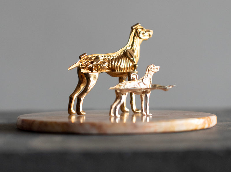Alma Castellanos – Disección de miller / plata y latón sobre - – 10 x 4 cm – 1/1