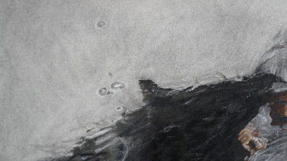 Carlos Larracilla - La bestia que somos / Acrilico, carboncillo, lapiz sobre papel  - 76 x 56 cm