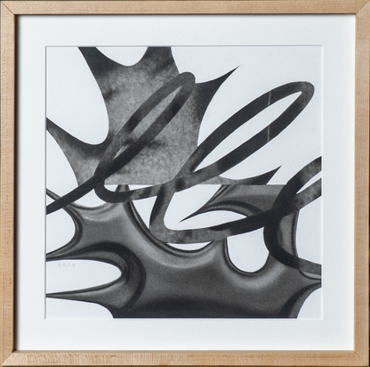 Paulina Goca - UNKNOWN + SOMBRA / Carboncillo sobre papel  - 32 x 32 cm