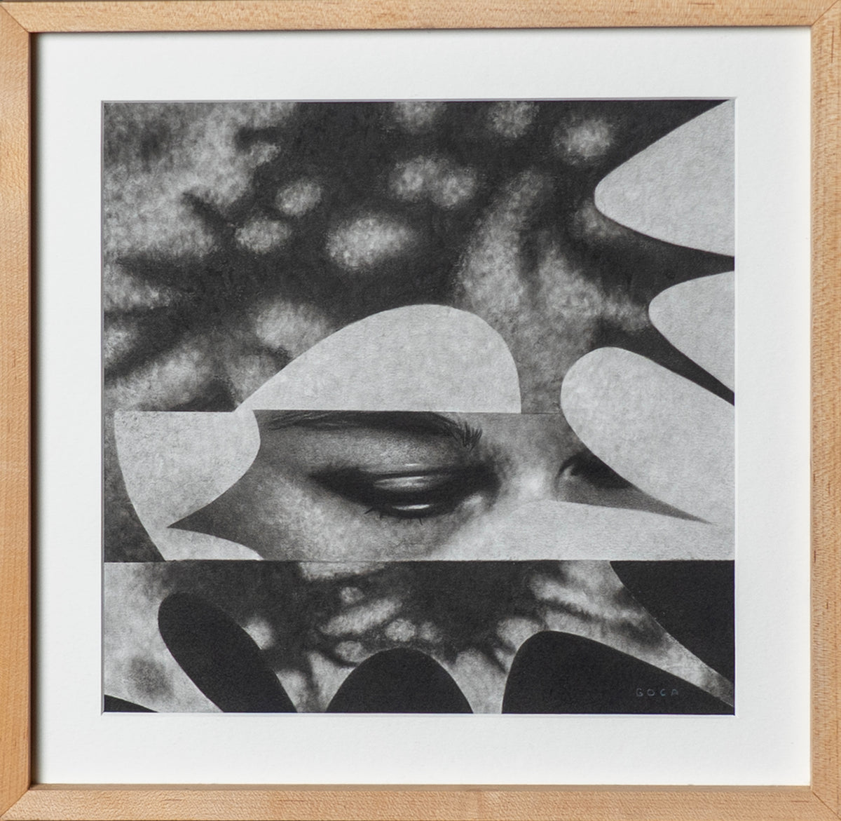 Paulina Goca - UNKNOWN + SOMBRA / Carboncillo sobre papel  - 32 x 32 cm