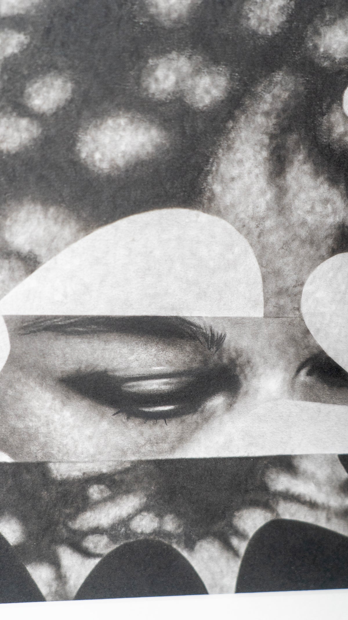 Paulina Goca - UNKNOWN + SOMBRA / Carboncillo sobre papel  - 32 x 32 cm