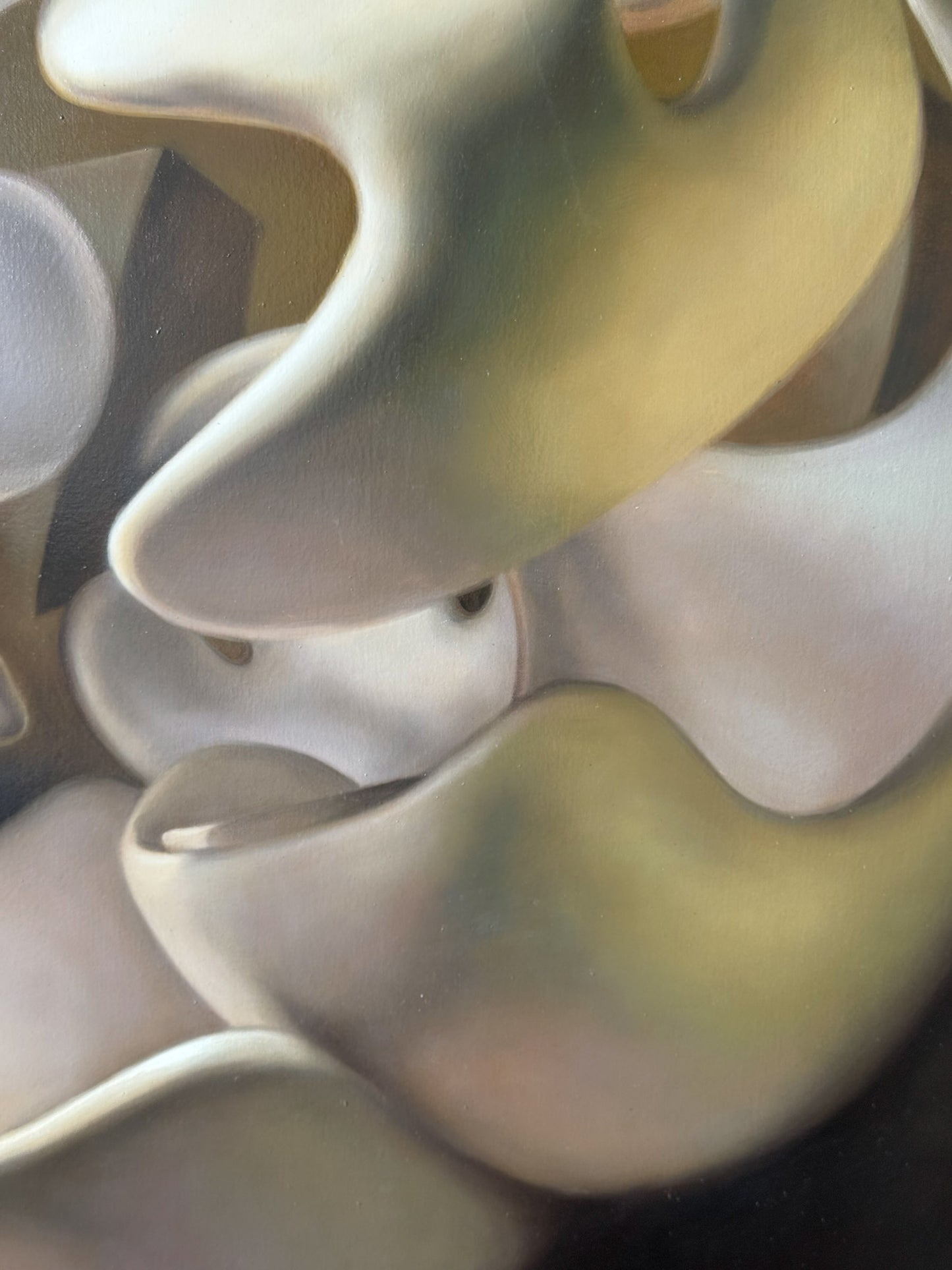 José Luis López Galván – El cisne de jacobsen / Óleo sobre tela – 100 x 120 cm – 1/1