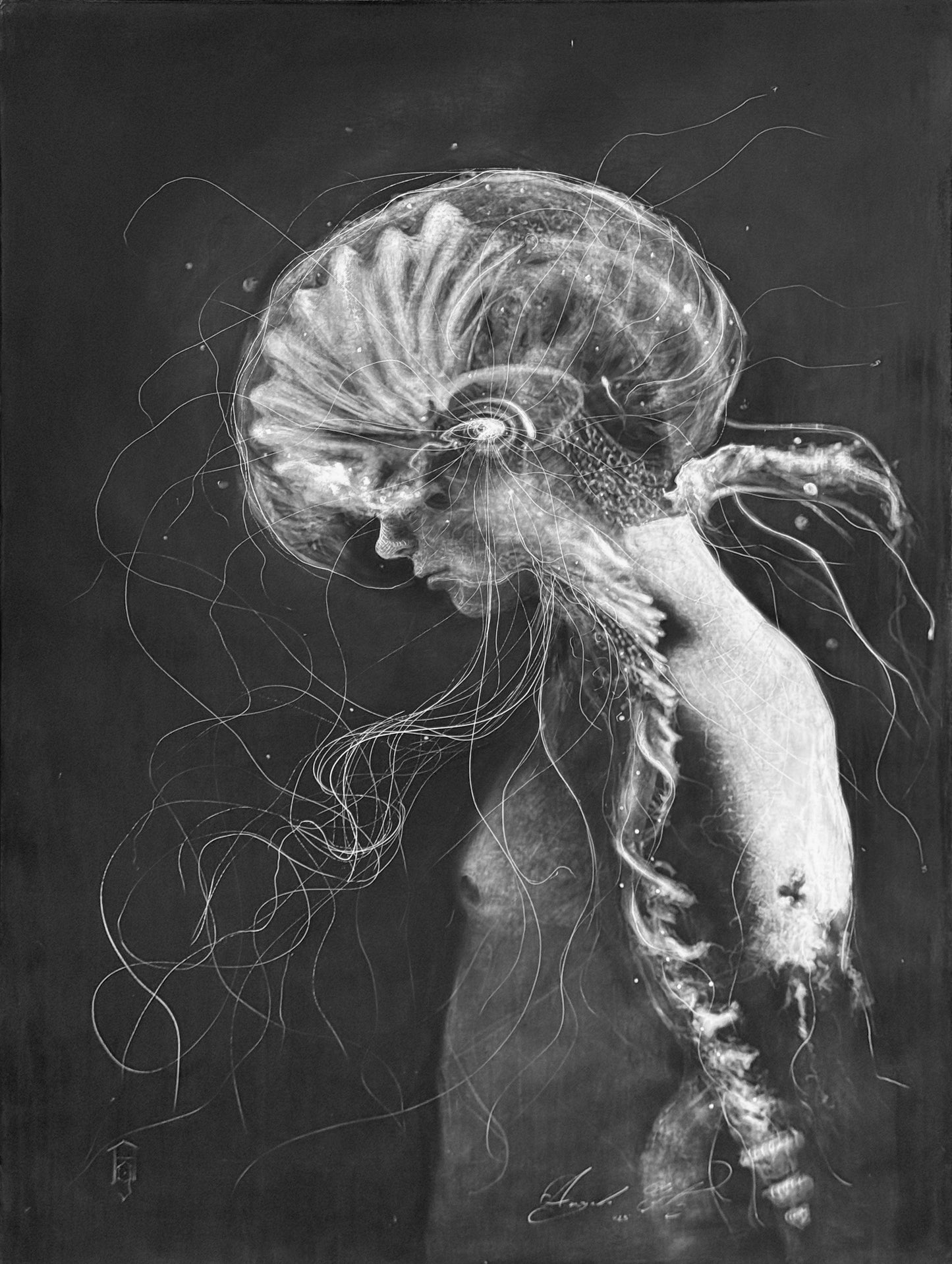 13 / Angelo Gutiérrez - DMT / Carboncillo sobre tela - 125 x 90 cm