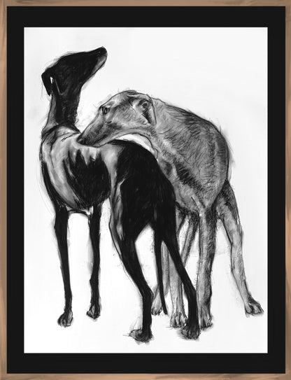 Paulina Goca – Complices / carboncillo sobre papel – 56 x 77 cm – 1/1