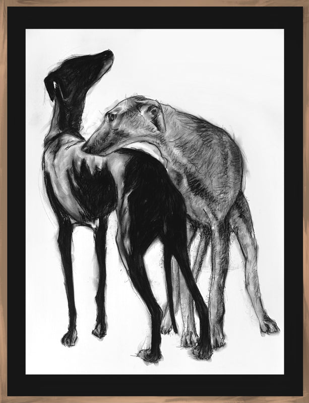 Paulina Goca – Complices / carboncillo sobre papel – 56 x 77 cm – 1/1