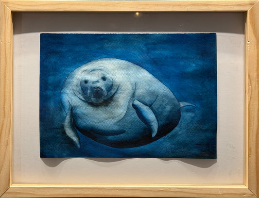 Esteban Arévalo - Manati / Acuarela sobre papel - 17 x 24 cm