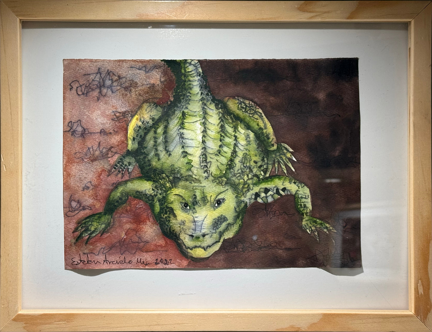 Esteban Arévalo - Cocodrilo / Acuarela sobre papel - 17 x 24 cm