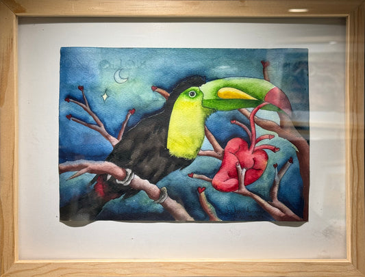 Esteban Arévalo - Tucan / Acuarela sobre papel - 17 x 24 cm