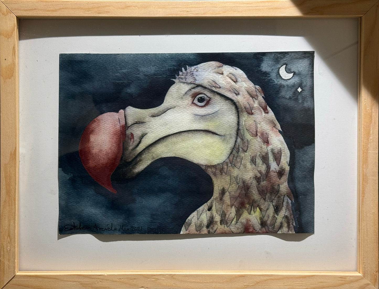Esteban Arévalo - Dodo / Acuarela sobre papel - 17 x 24 cm