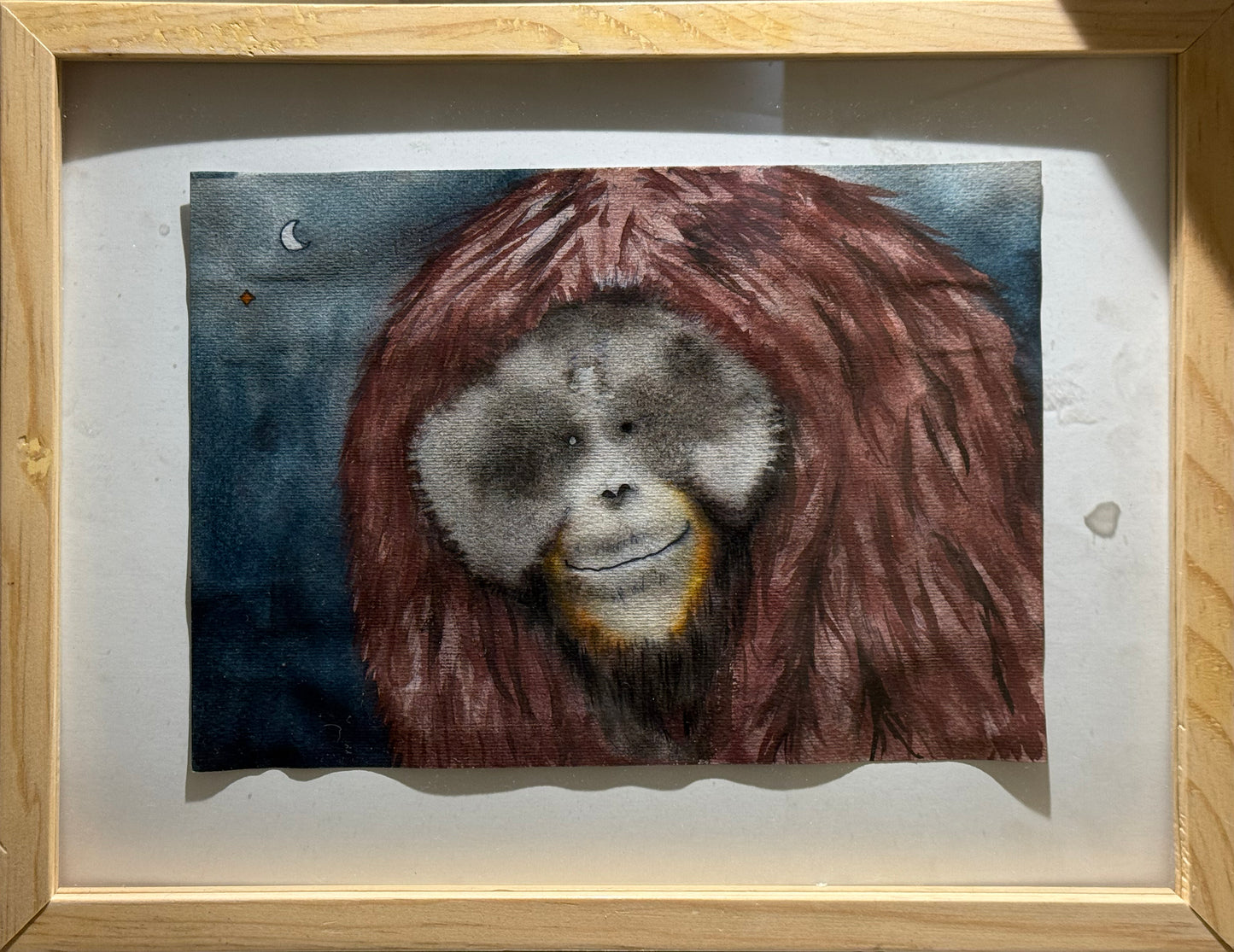 Esteban Arévalo - Orangutan / Acuarela sobre papel - 17 x 24 cm