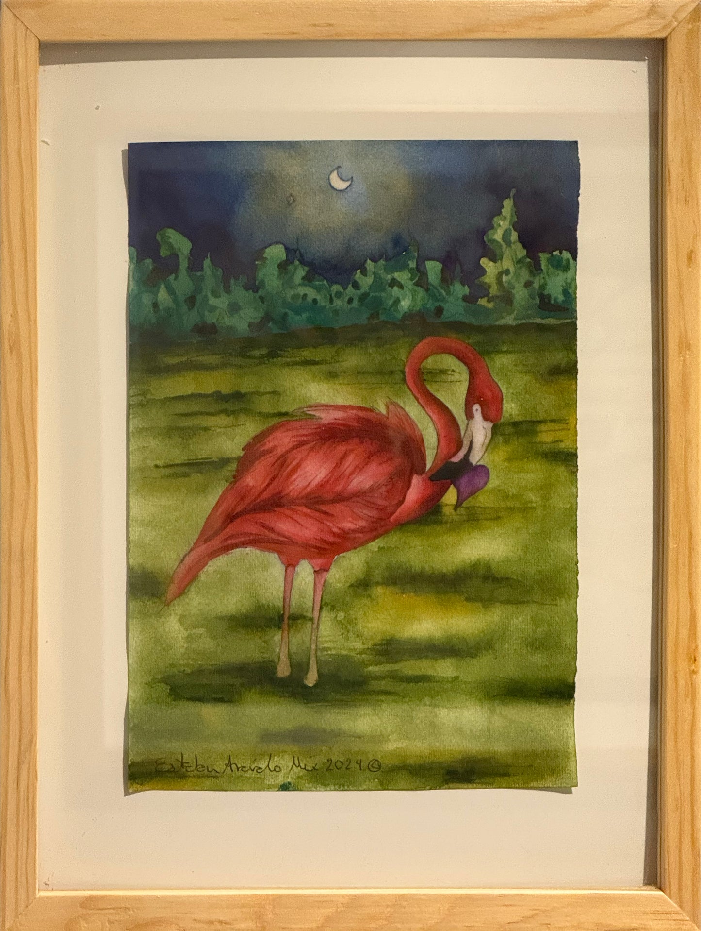 Esteban Arévalo - Flamingo / Acuarela sobre papel - 24 x 17 cm