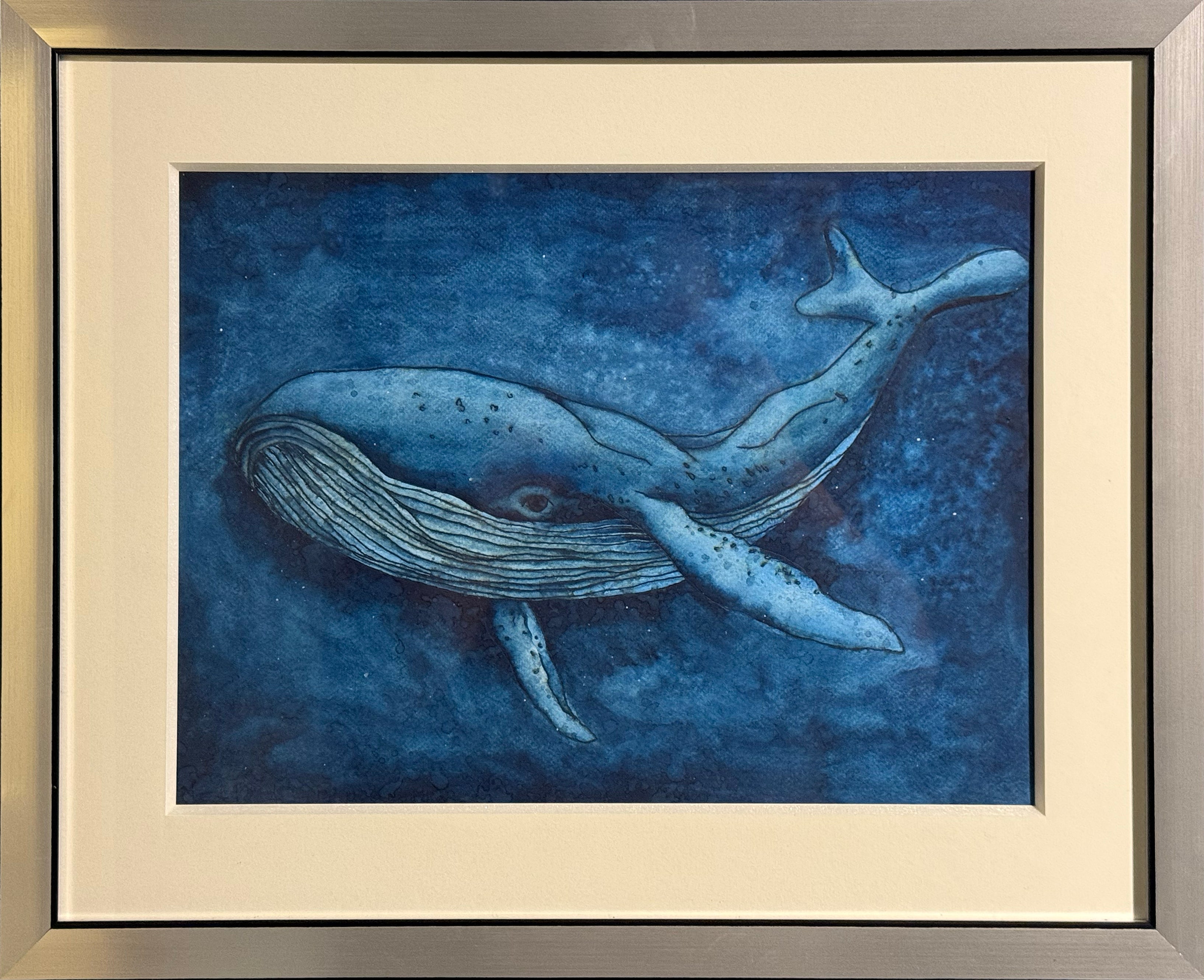 Esteban Arévalo - Ballena / Acuarela  sobre papel  - 29 x 39 cm