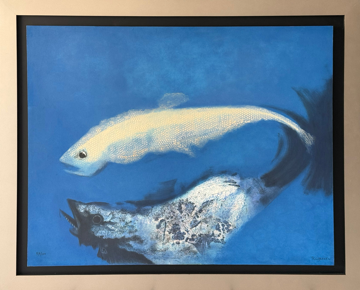 Rafael Coronel - Peces / Gráfica mixta - 72 x 100 cm