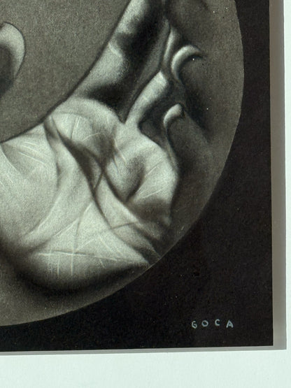 Paulina Goca – Kariós / Carboncillo sobre papel – 25 x 25 cm – 1/1
