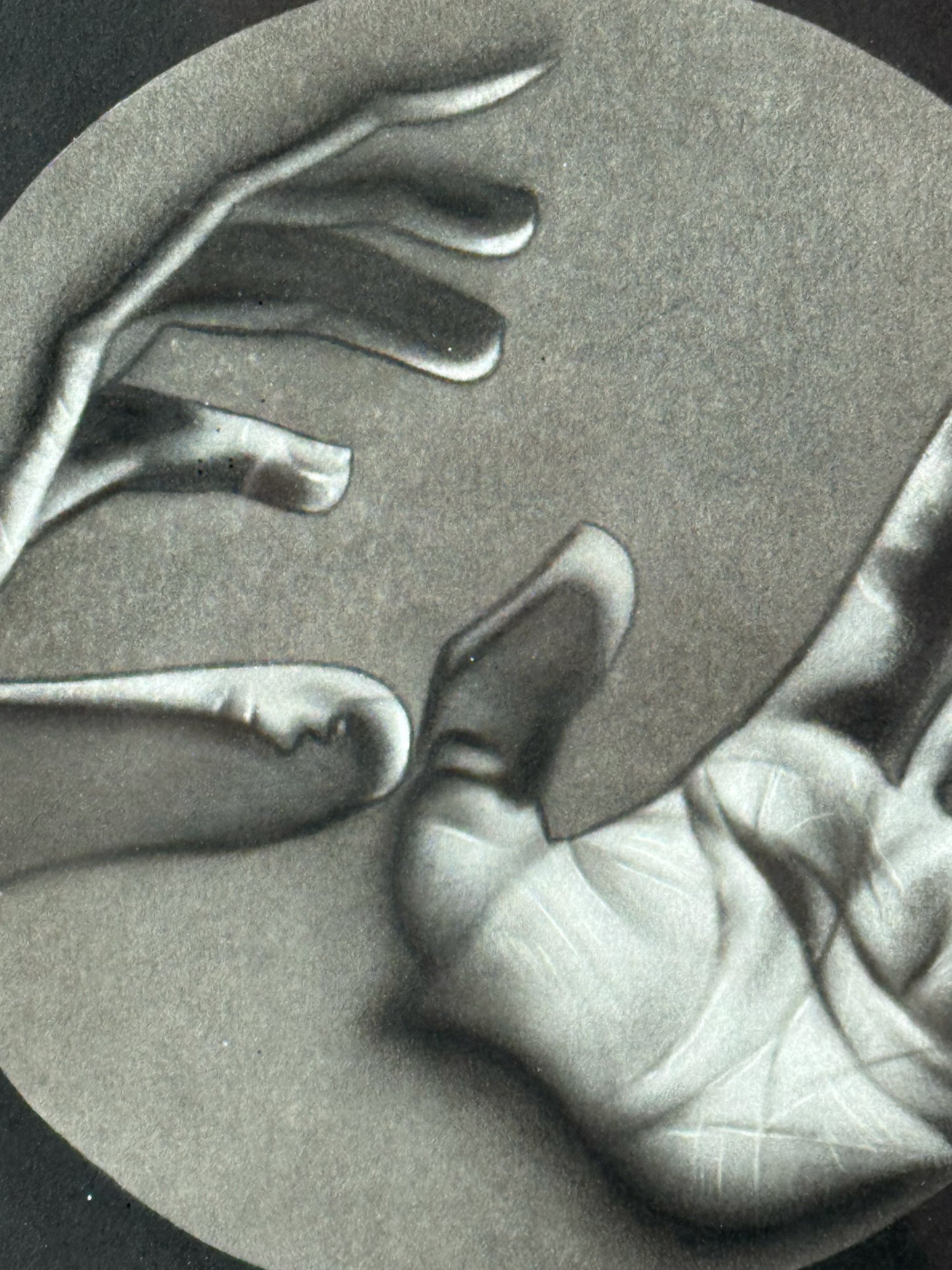 Paulina Goca – Kariós / Carboncillo sobre papel – 25 x 25 cm – 1/1