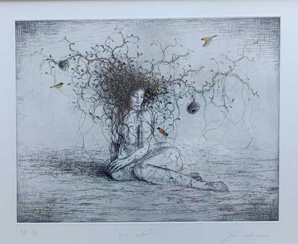 Juan Carlos Navarro  - Venus natura  / Grabado aguafuerte / Grabado aguafuerte intervenido con pintura  - 30 x 39 cm