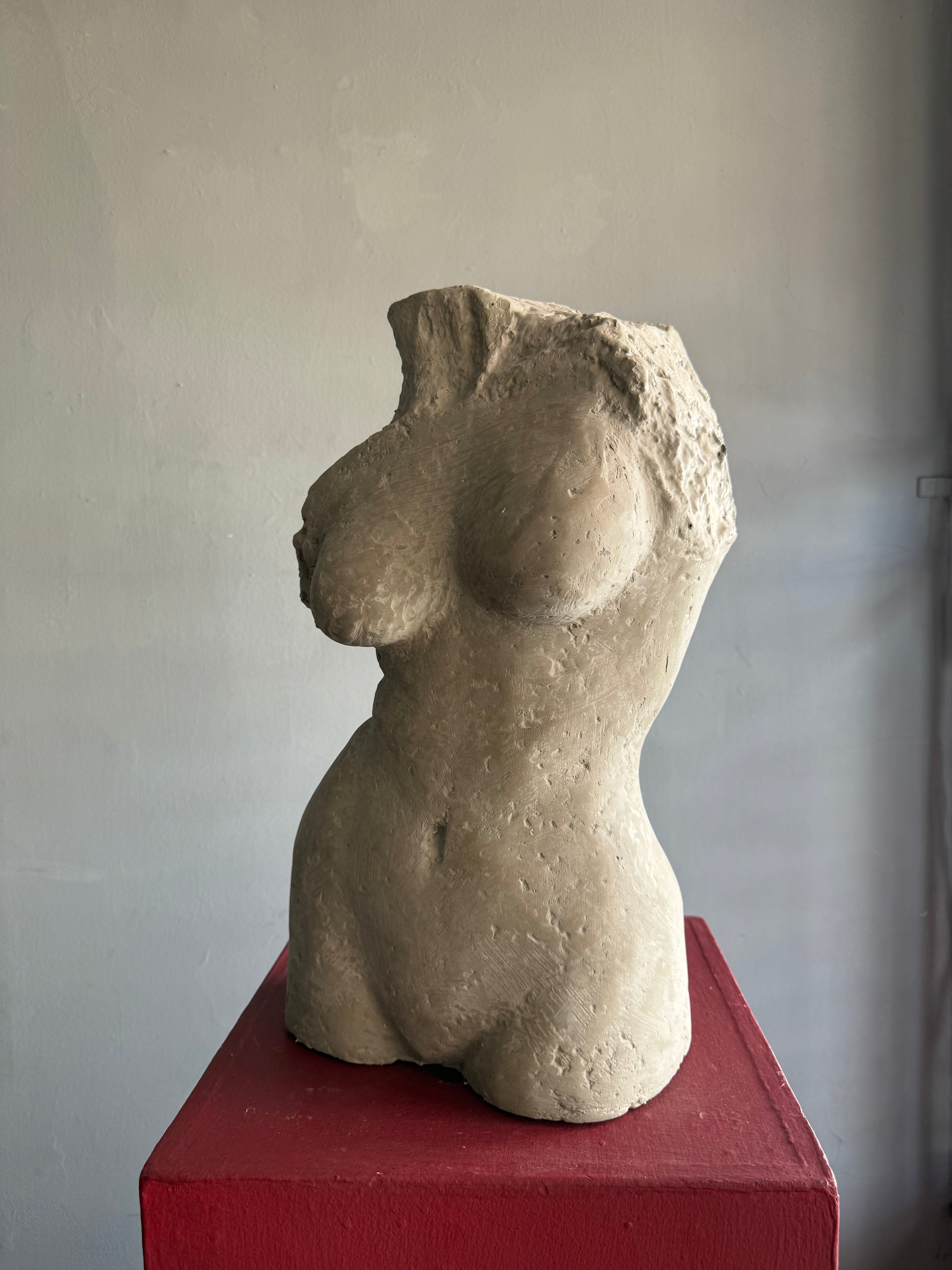Rosario Lazcano – Busto / Mixta sobre - – 27 x 52 cm – 1/1